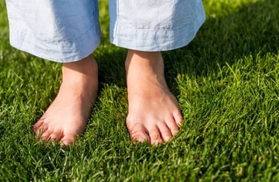 How This Trend Connects to Real Lifestyle Changes