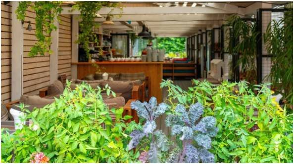 How did I use landscaping to make my patio feel complete?