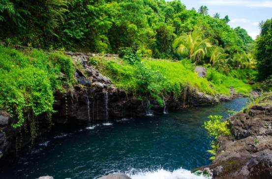 The Deeper Calm You Experience Through Mindful Nature Practices