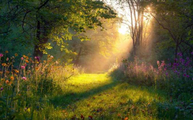 Things to Notice While You Walk